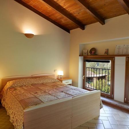 Agriturismo Ca' Del Ciuco Vezzano sul Crostolo 외부 사진